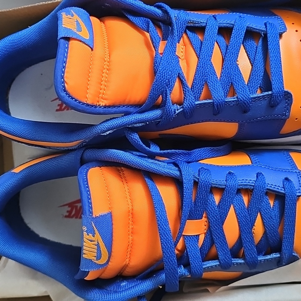 Nike Dunk Low Retro - Royal